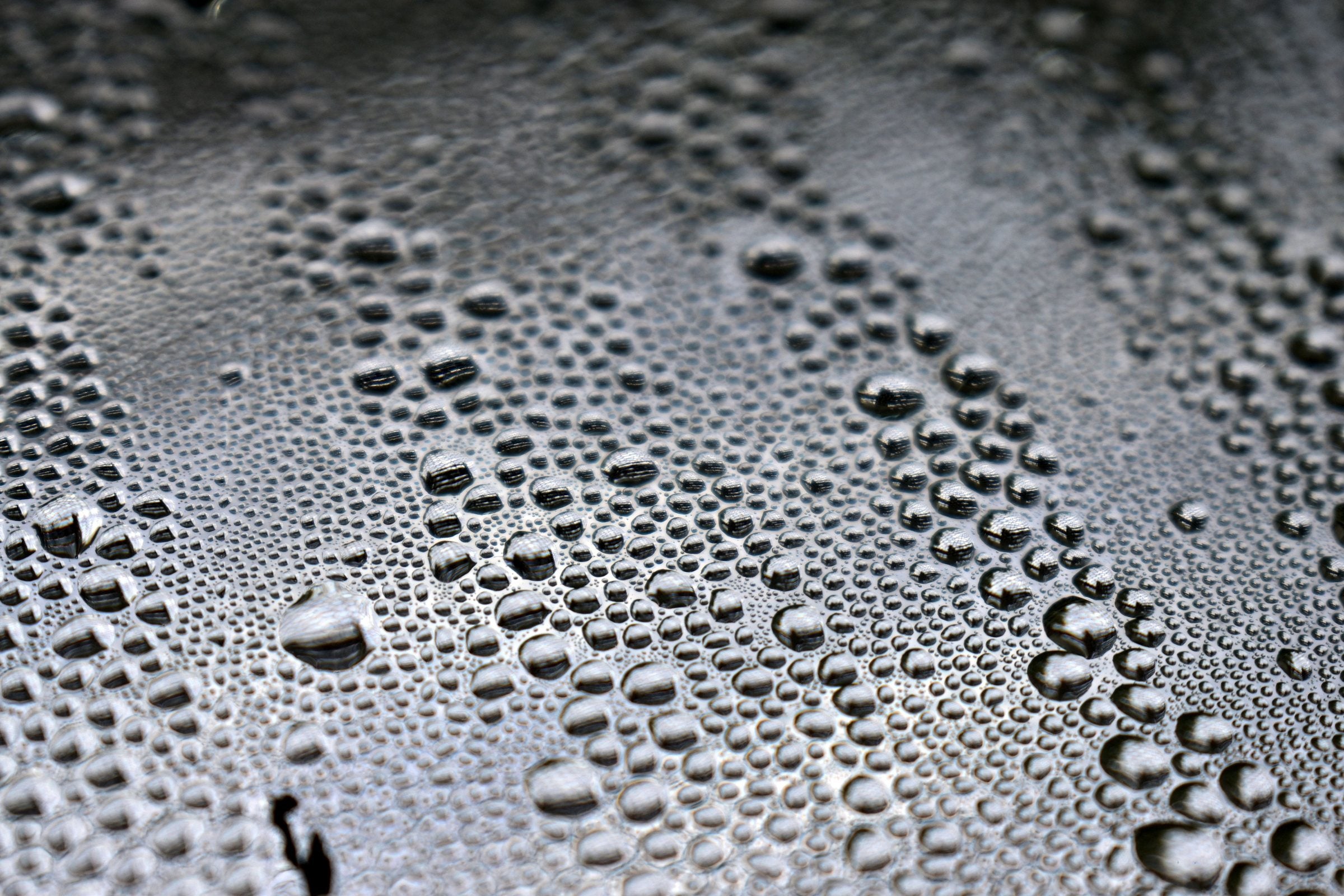 Water beading on a sealed, water-repellent surface